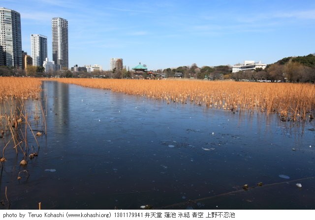 お寒うございます 1301179941  thumbnail