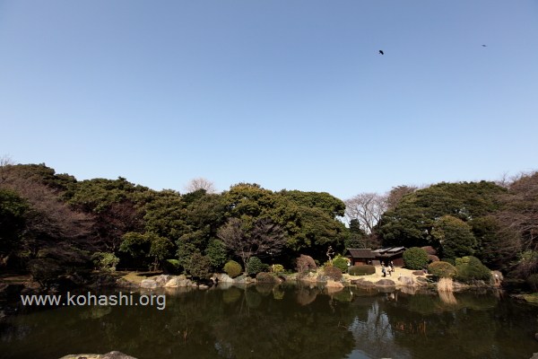日本庭園(東京国立博物館)